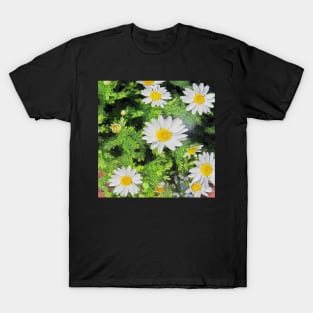 stocksom art prints Daisy 2. T-Shirt